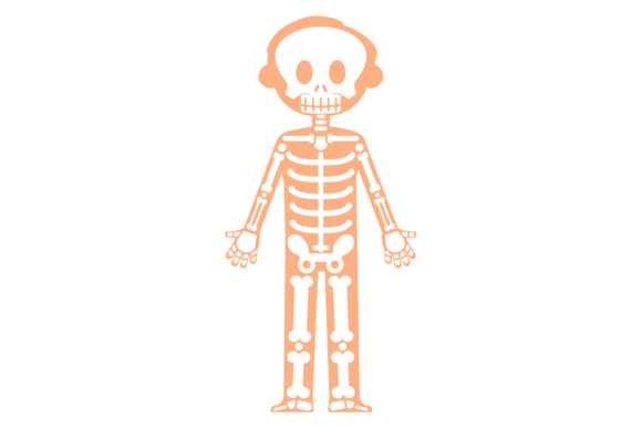 A Designer's Take on the Kid Anatomy Medical Illustration