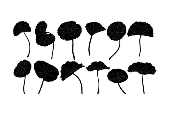 Gotu Kola Vector: An Embroidery Design Review for Real Projects