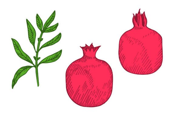 Vintage Pomegranates: A Designer's Review for Embroidery