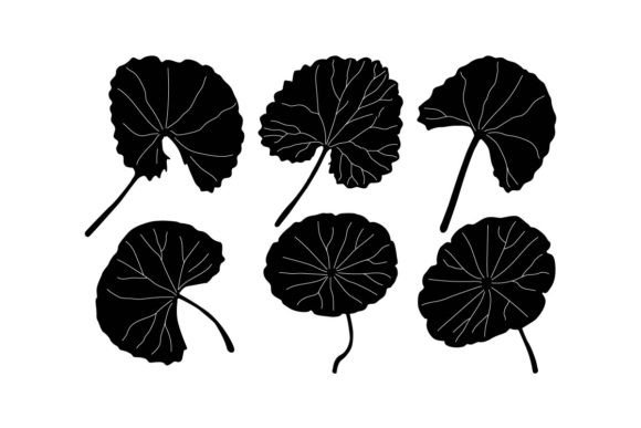 Why the Gotu Kola Embroidery Design Is More Than Just Leaves